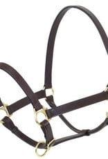 Camelot Camelot Leather Stable Halters