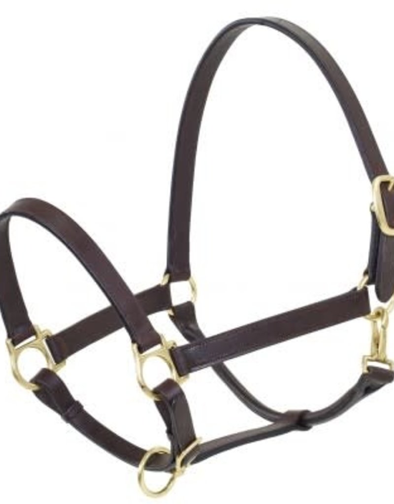 Camelot Camelot Leather Stable Halters