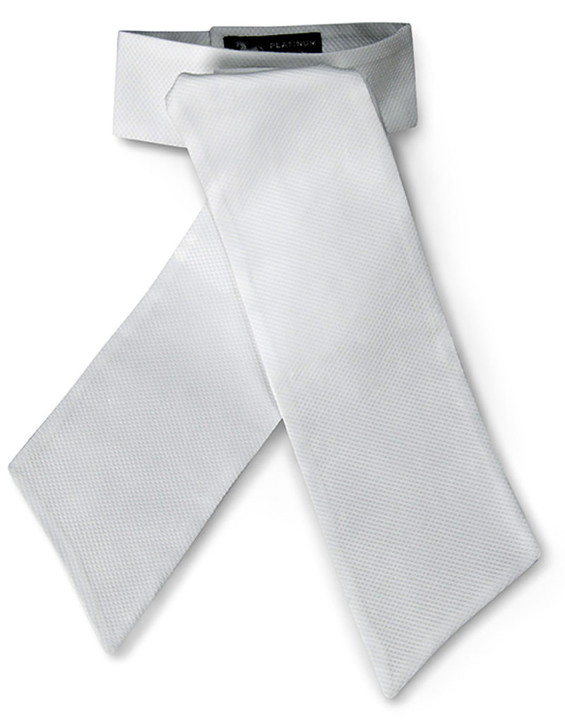 R.J. Classics R.J. Classics Radnor Traditional Stock Tie