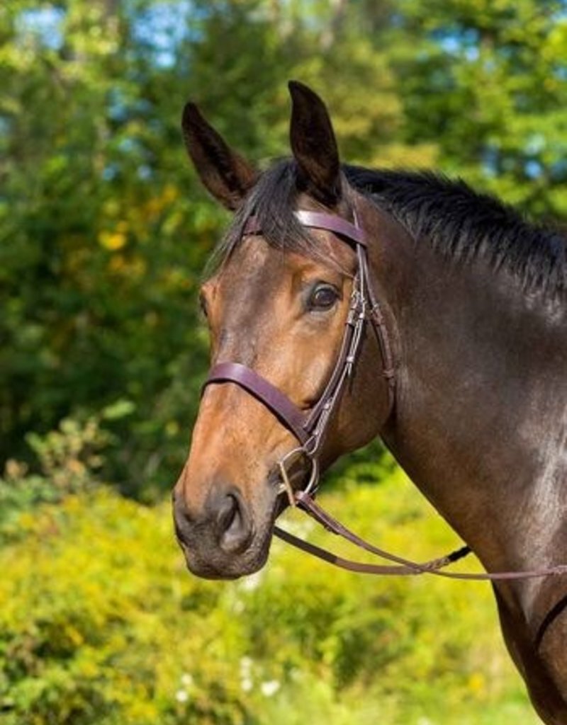 Shires Shires Avignon Middleburg Hunter Bridle