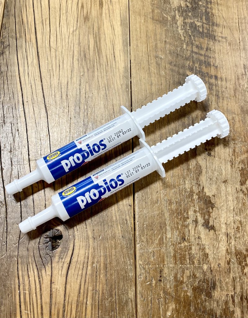 Probios Probios Equine One Oral Gel