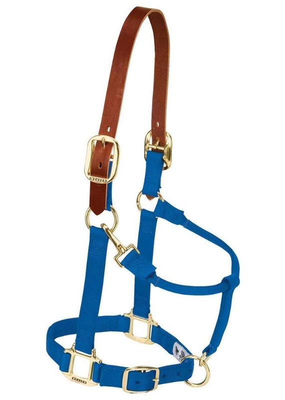 Weaver Leather Weaver Breakaway Halter Blue