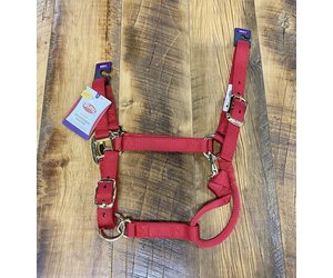 Weaver Nylon Halter French Blue - Franklin Saddlery