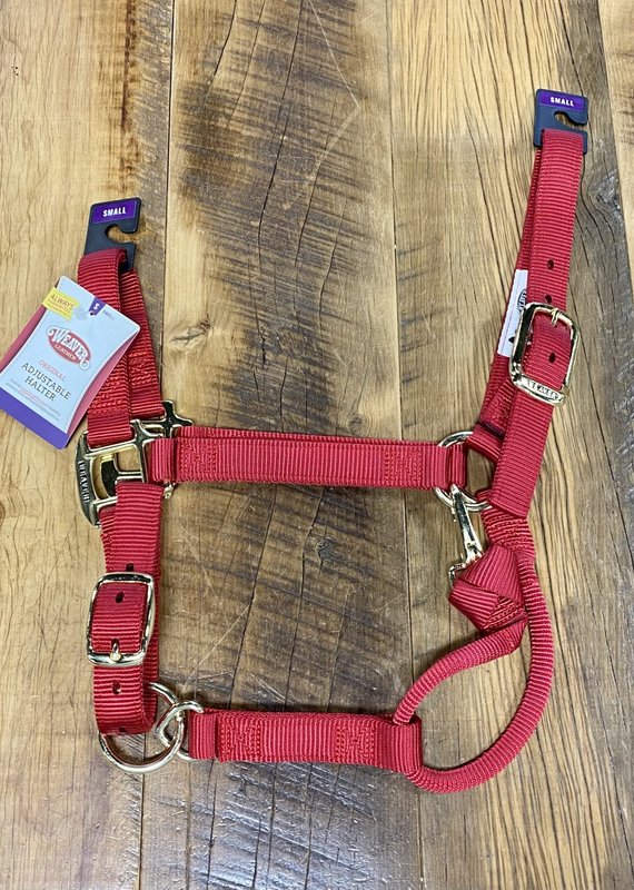 Weaver Nylon Halter Raspberry - Franklin Saddlery