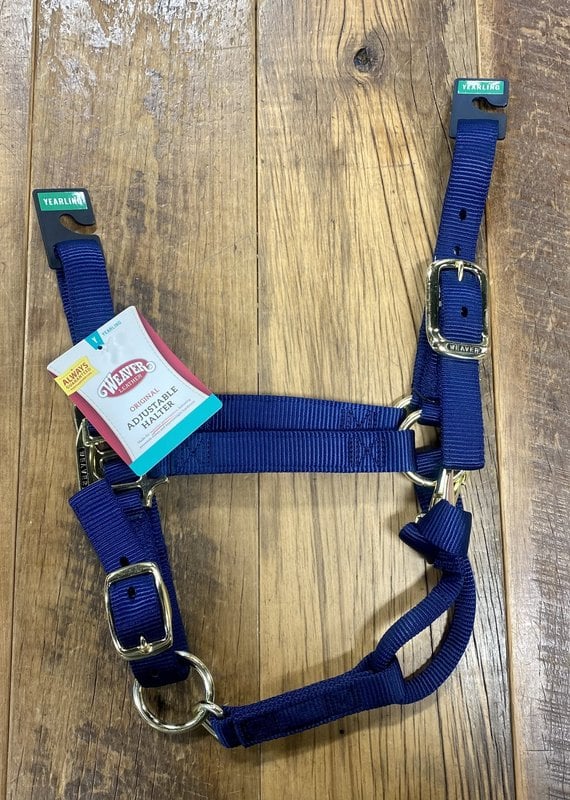 Weaver Nylon Halter Hurricane Blue - Franklin Saddlery