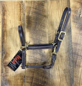 Kathryn Lily Equestrian Walsh Showman Leather Halter