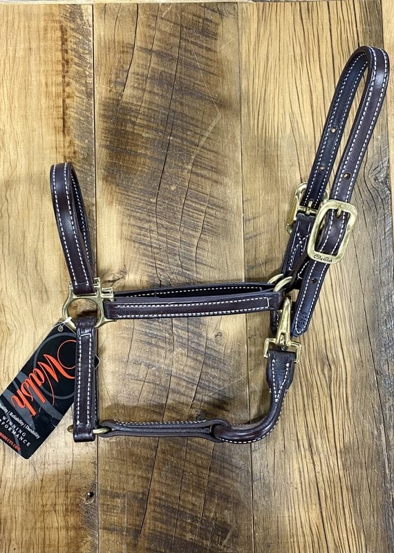 Kathryn Lily Equestrian Walsh Showman Leather Halter