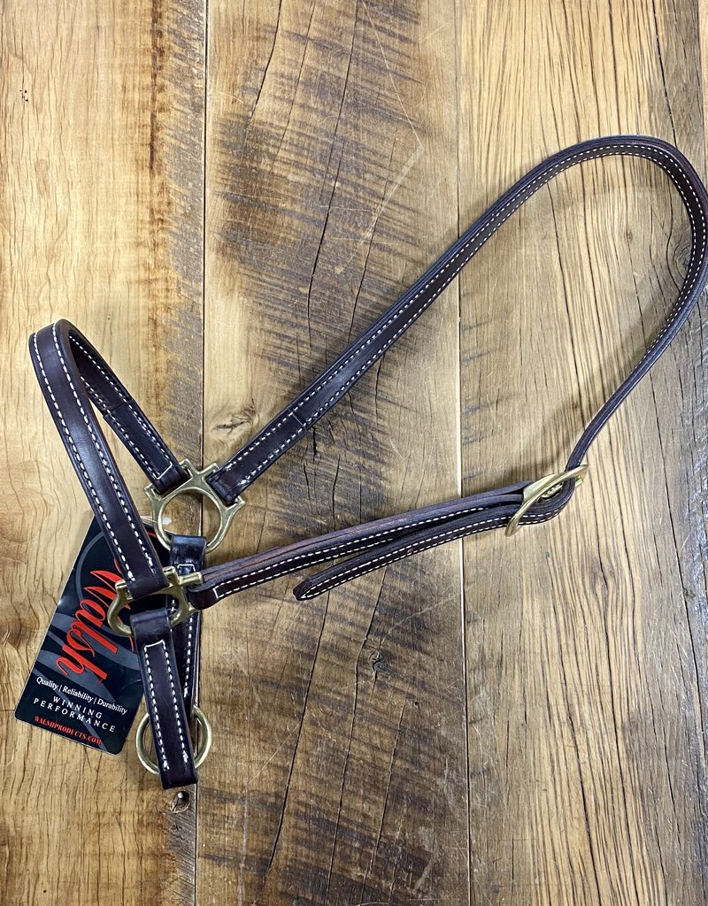 Walsh Walsh Leather Grooming Halter Havana