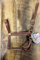Kathryn Lily Equestrian Walsh Showman Leather Halter