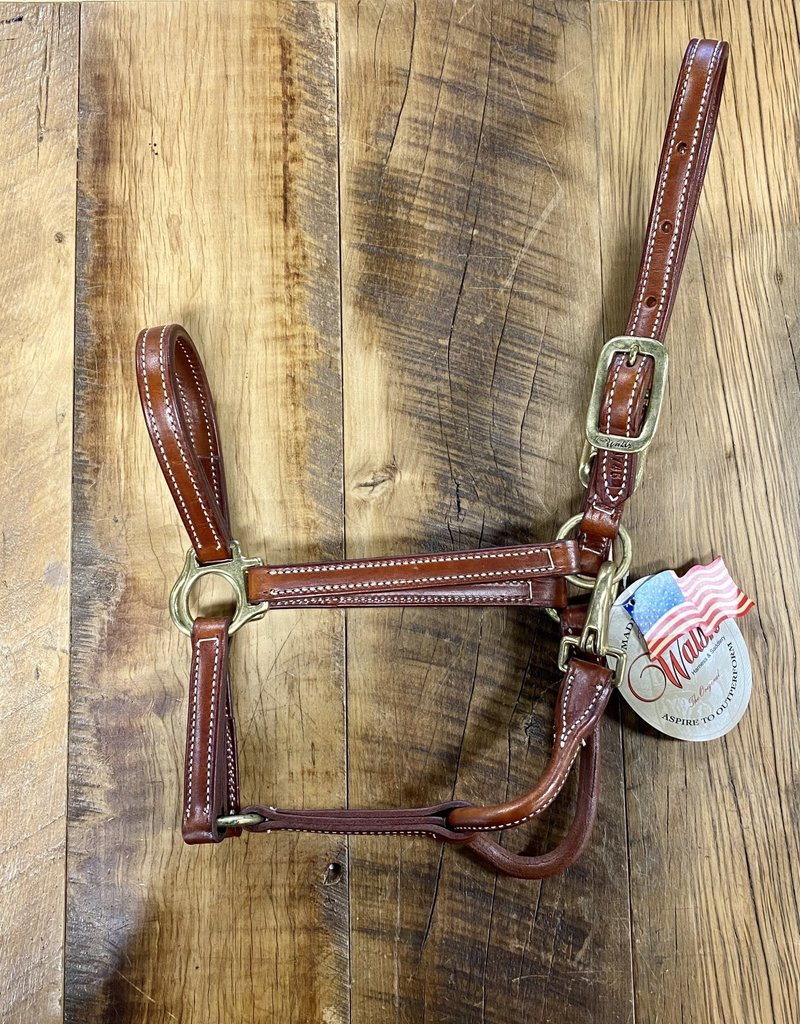 Kathryn Lily Equestrian Walsh Showman Leather Halter