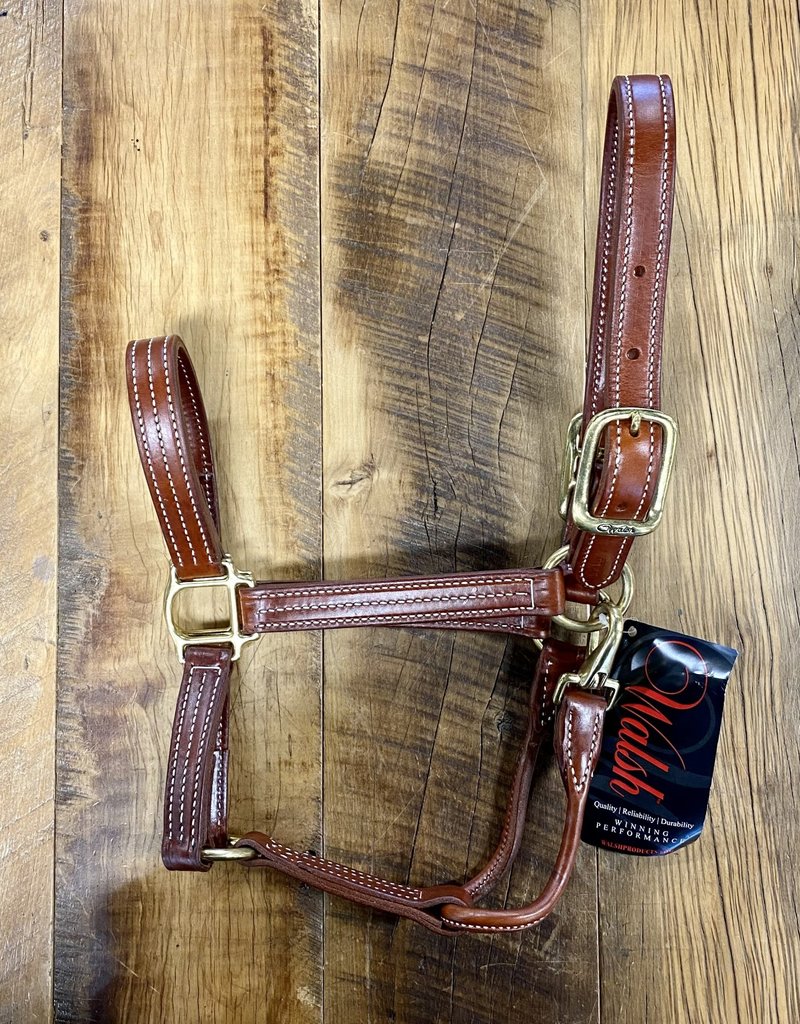 Walsh Walsh British Leather Halter