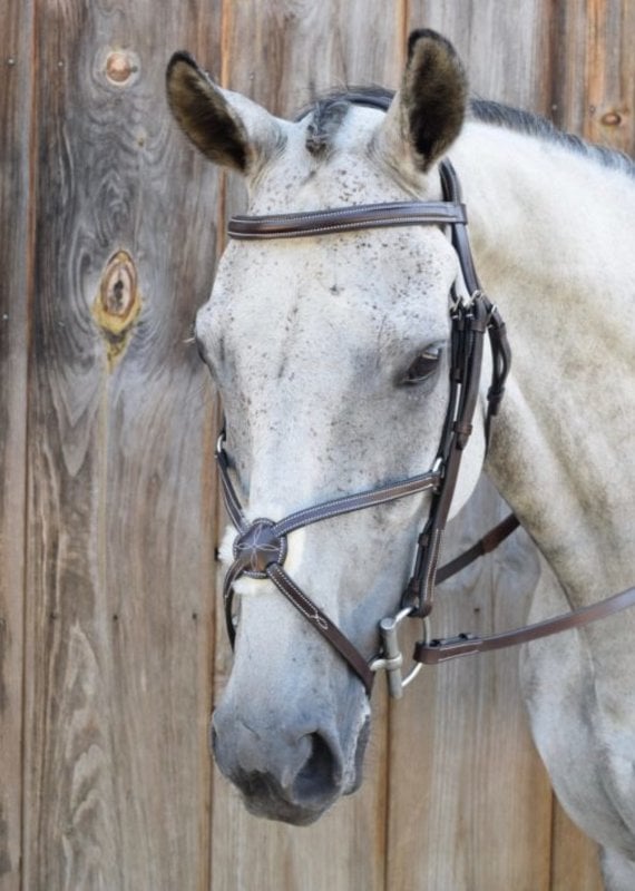 Black Oak Black Oak Cedar Figure 8 Bridle With Rubber Reins Horse