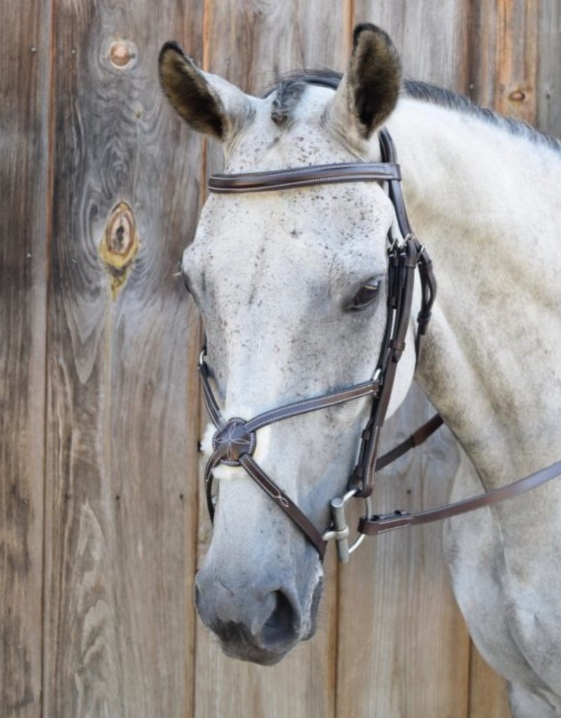 Black Oak Black Oak Cedar Figure 8 Bridle With Rubber Reins Horse