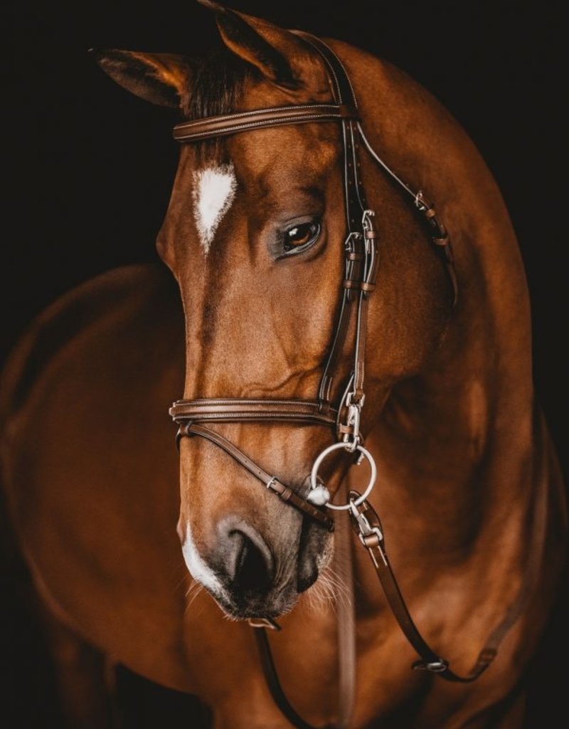 Arion Arion Bridle Anatomic French Noseband Full