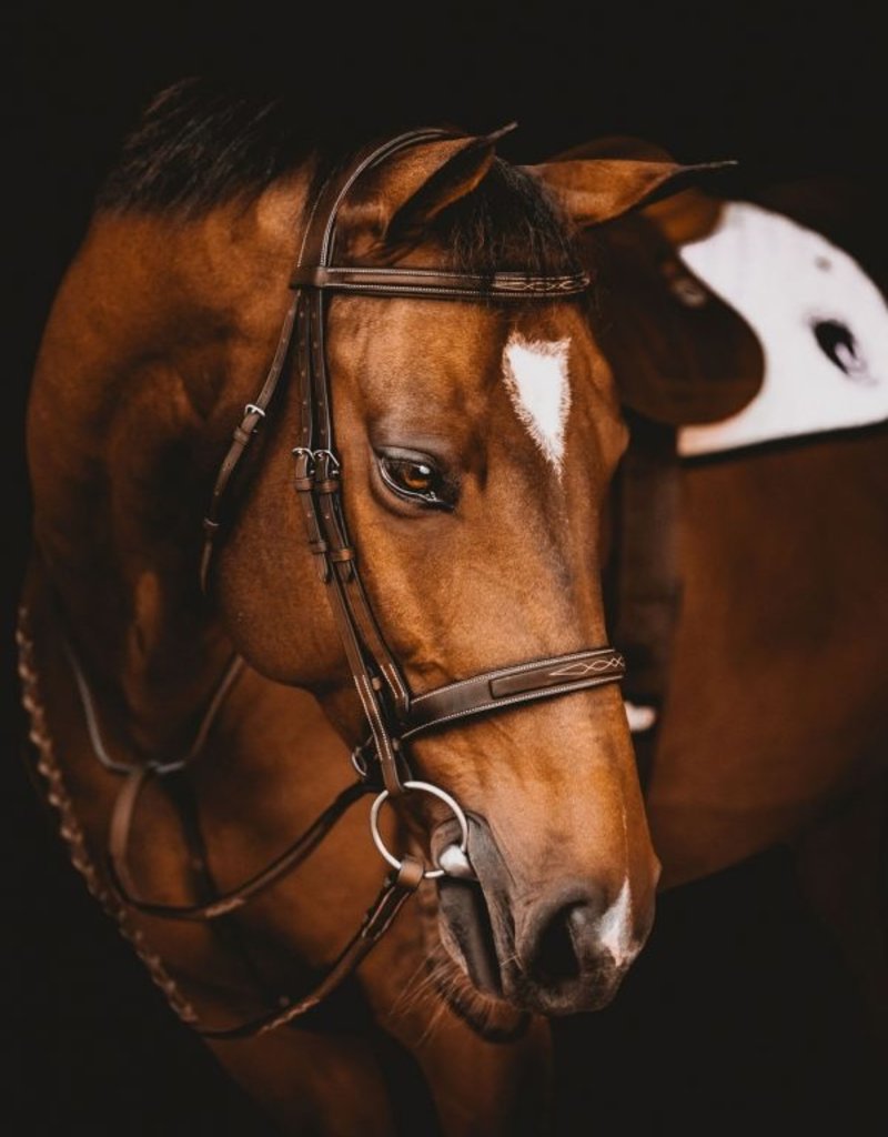 Arion Arion Hunter Bridle with Fancy Stitching Full