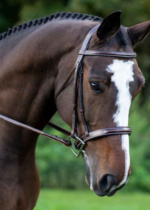 Red Barn Bridlework KL Italia Tuscany Hunter Bridle