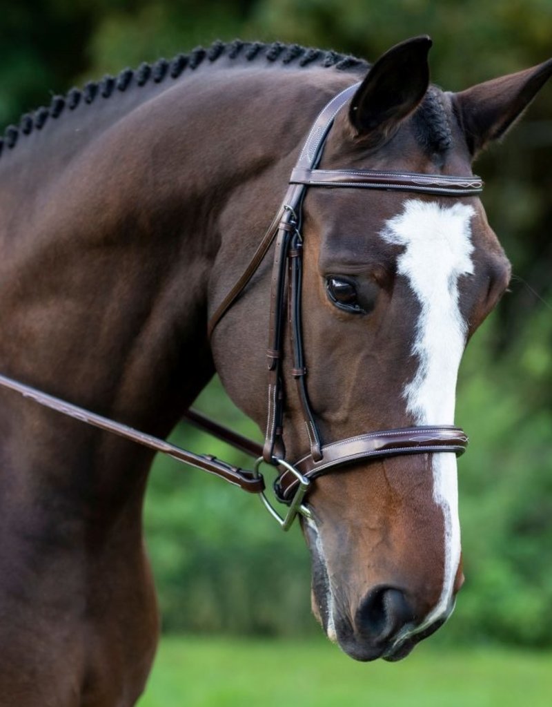 Red Barn Bridlework KL Select Italia Tuscany Hunter Bridle
