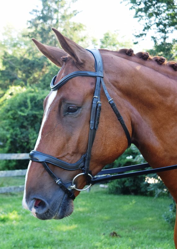 Red Barn Bridlework Red Barn Arena Dressage Bridle Brown With Black Padding Full