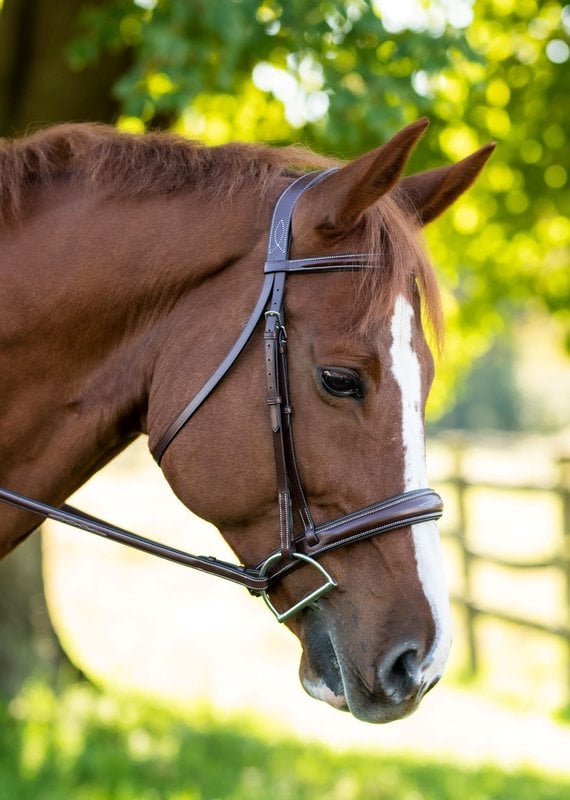 Red Barn Bridlework Red Barn Ocala Hunter Bridle