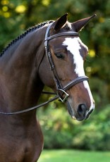 Black Oak Black Oak Laurel Hunter Bridle