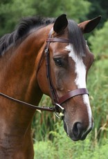 Black Oak Black Oak Foxtrot Hunt Bridle Cob