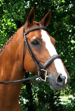 KL Select Red Barn Tryon Hunter Bridle