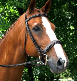 KL Select Red Barn Tryon Hunter Bridle KL Select Red Barn Tryon Hunter Bridle