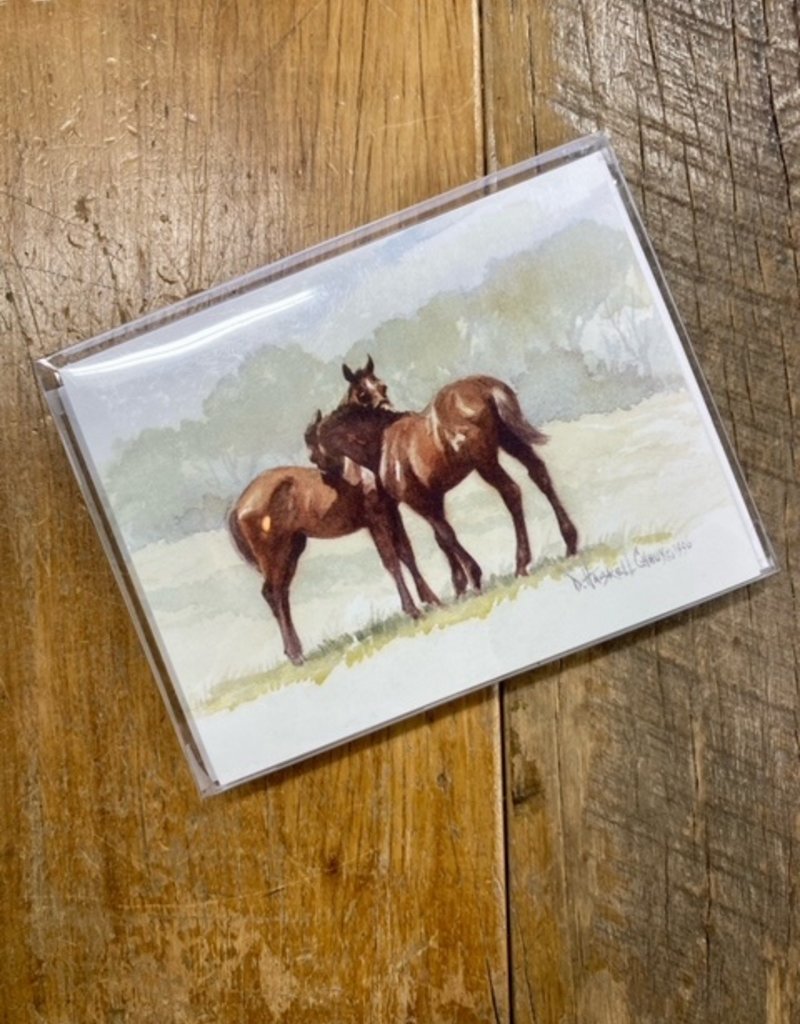 D. Haskell Chhuy D. Haskell Chhuy Colored Foals Greeting Cards