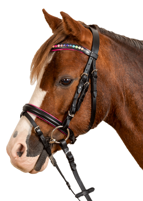 Waldhausen Waldhausen Star Pinky Bedazzled Black Pony Bridle