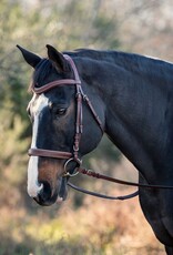ADT Tack ADT Tack Classique Anatomical Bridle with Rubber Reins Brown