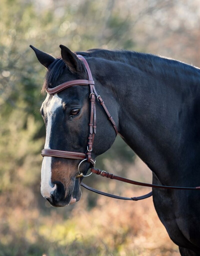 ADT Tack ADT Tack Classique Anatomical Bridle with Rubber Reins Brown
