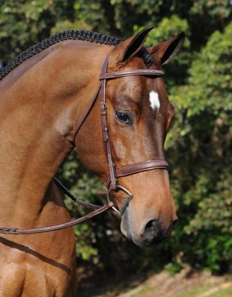 ADT Tack ADT Tack Tribute Bridle With Laced Reins Brown