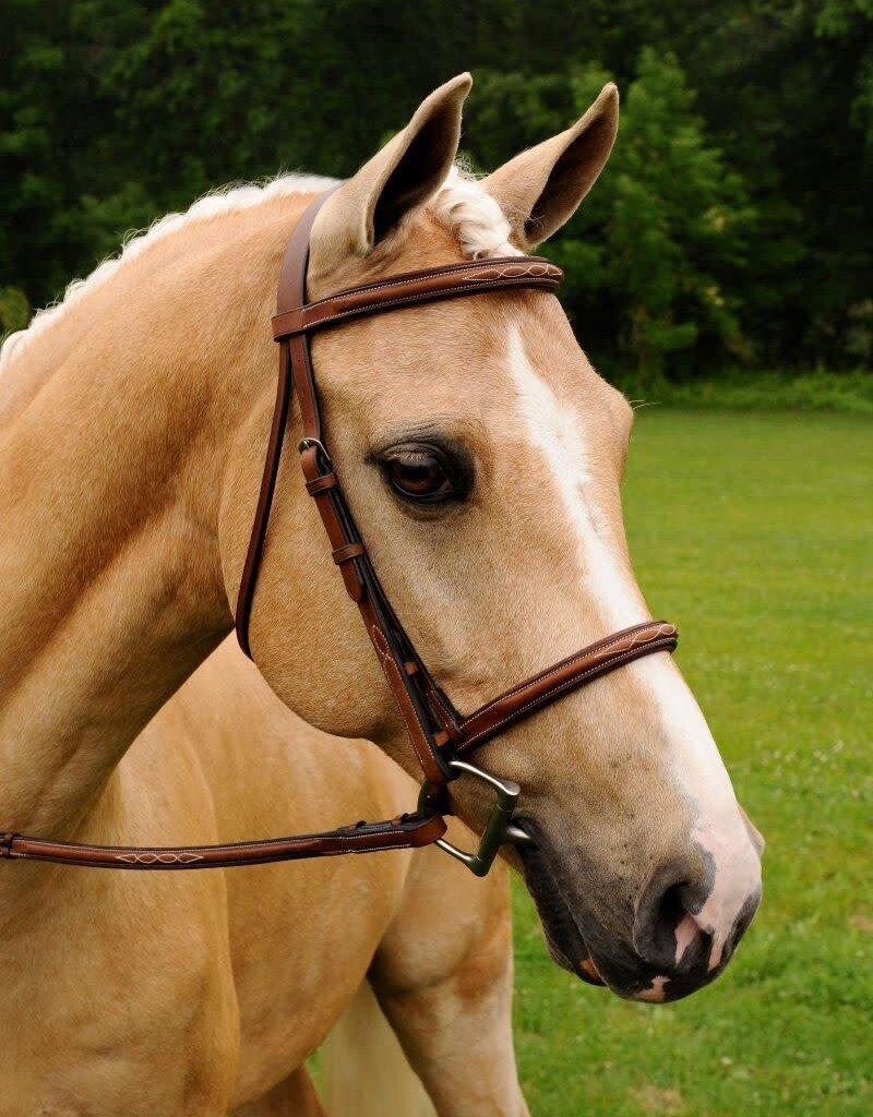 ADT Tack ADT Tack Imperial Bridle with Laced Fancy Reins Regular Crown Brown Full