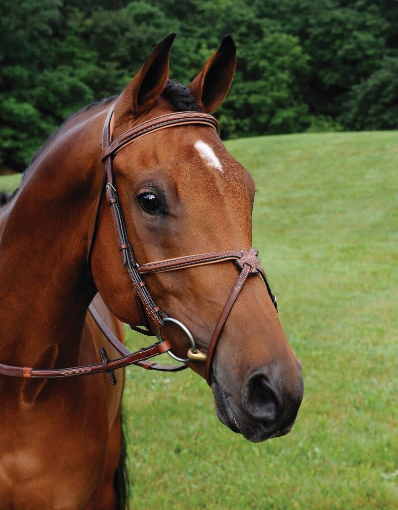 ADT Tack ADT Tack Imperial Figure 8 Bridle with Rubber Reins Mono Crown Brown