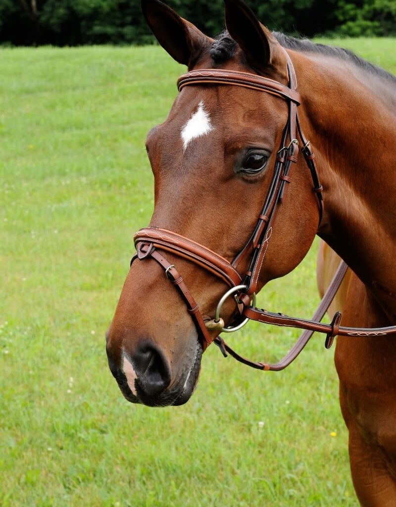 ADT Tack ADT Tack Starman Bridle w/ Rubber Reins and Crank Cavesson