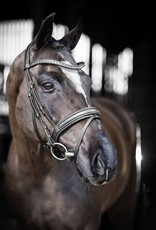 LeMieux LeMieux Arika Dressage Bridle Black/Silver
