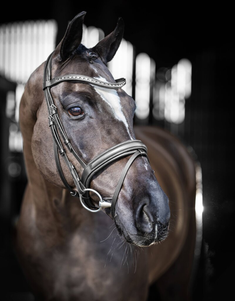 LeMieux LeMieux Arika Dressage Bridle Black/Silver