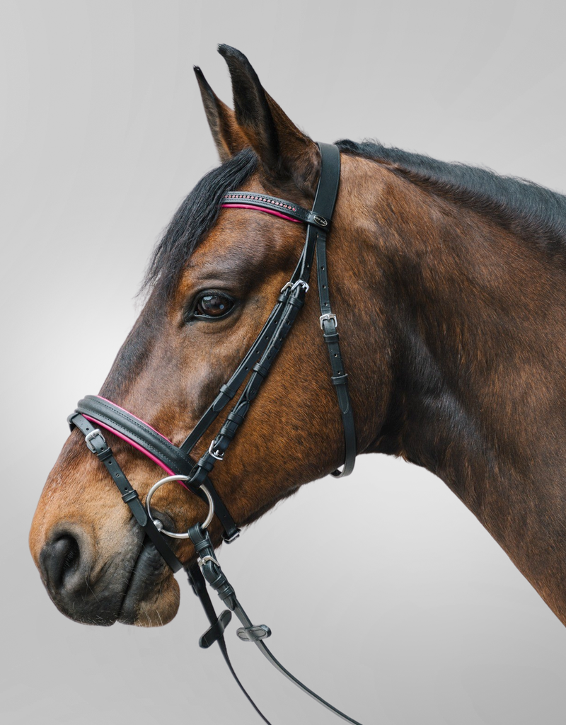 Waldhausen Waldhausen Diamant Combination Noseband Bridle