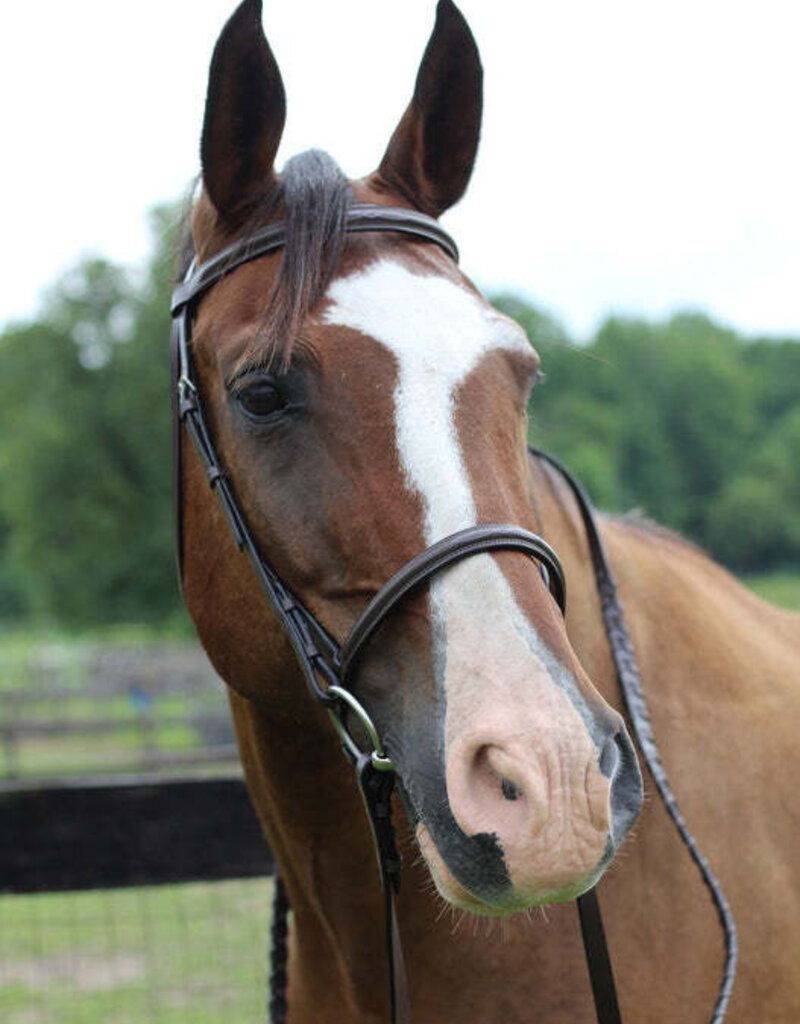 HDR Henri de Rivel Pro Fancy Raised Bridle With Laced Reins Havana Pony