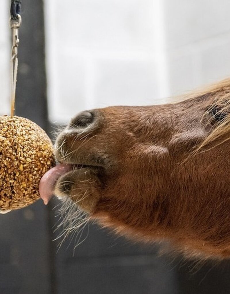 Likit Likit Granola Stall Ball