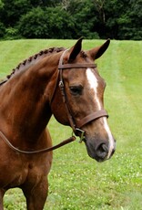 ADT Tack ADT Tack Fox Hunt Bridle with Rubber Reins