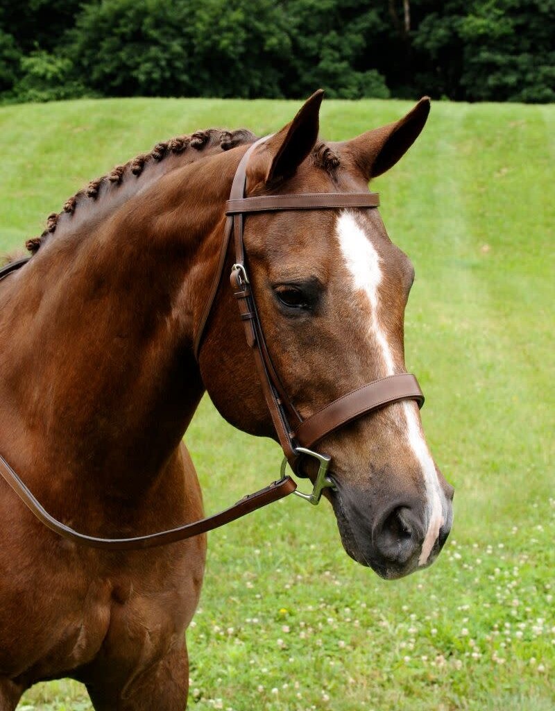 ADT Tack ADT Tack Fox Hunt Bridle with Rubber Reins