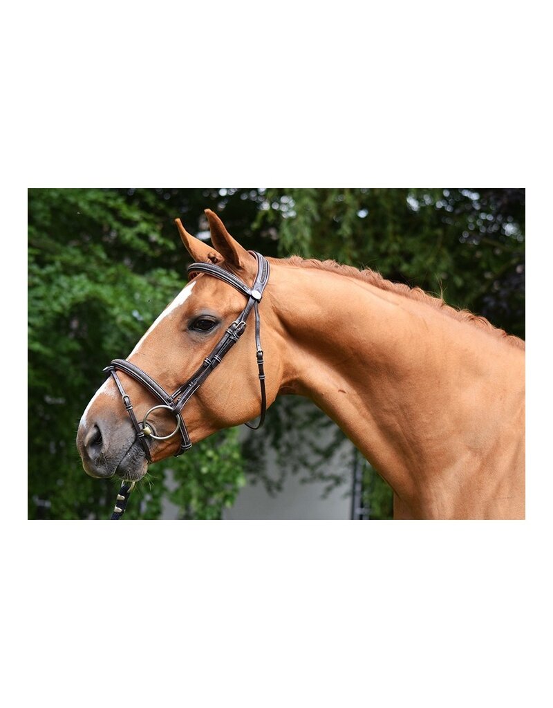 Jump In Jump'in Carat Bridle Black Full