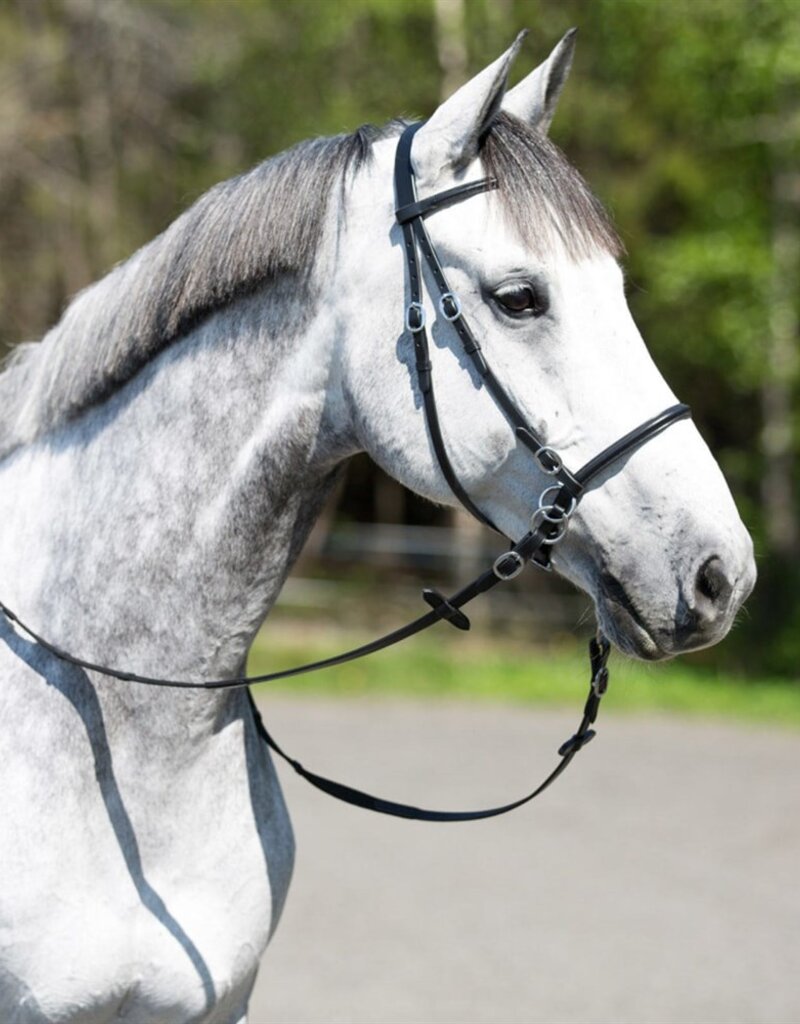 Horze Horze Leather Bitless Bridle Black