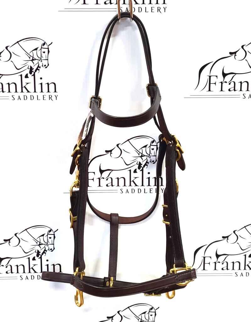 Tory Leather Tory Leather Horse Halter/Bridle Combo