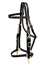 Tory Leather Tory Leather Horse Halter/Bridle Combo