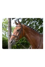 Jump In Jump 'in Hunter Bridle Australian Nut