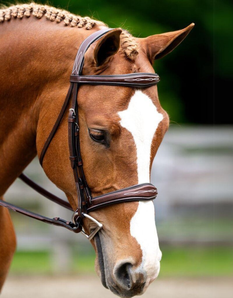 KL Select KL Select Hampton Bridle Full