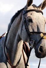 Arion Arion Figure 8 Bridle Brown Full