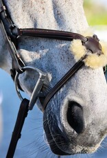 Arion Arion Figure 8 Bridle Brown Full